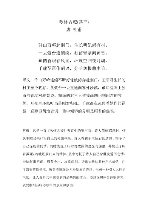 咏怀古迹其三翻译及赏析