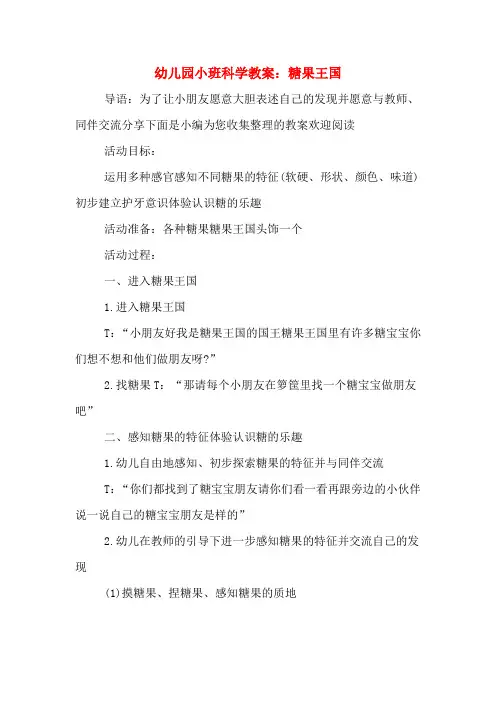幼儿园小班科学教案：糖果王国