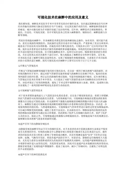 可视化技术在麻醉中的应用及意义