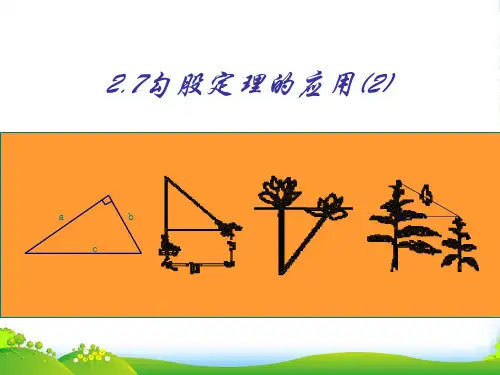 江苏省昆山市兵希中学八年级数学上册《2