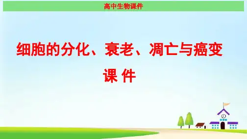 细胞的分化、衰老、凋亡与癌变 最新经典课件
