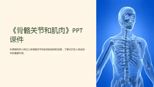 《骨骼关节和肌肉》课件