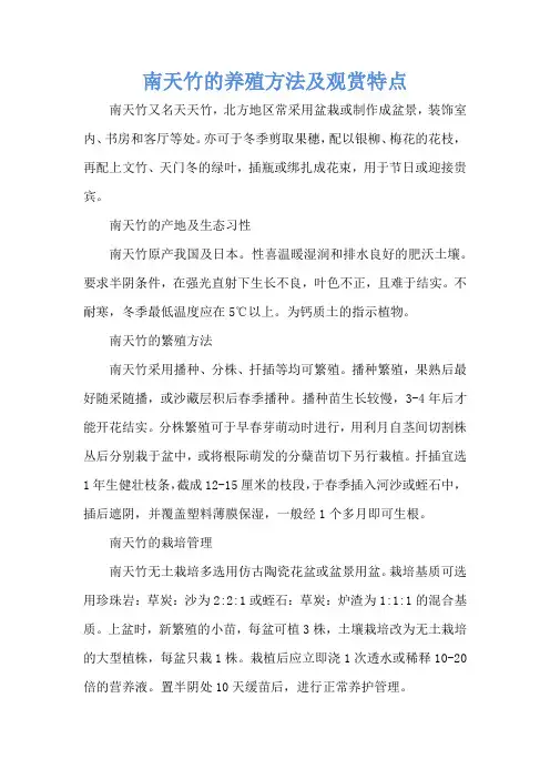 南天竹的养殖方法及观赏特点