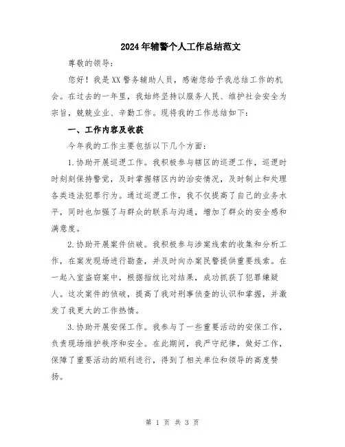 2024年辅警个人工作总结范文