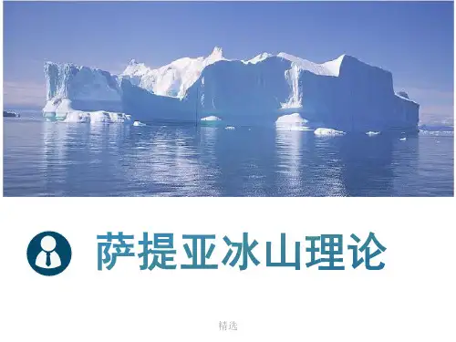 萨提亚冰山理论学习版.学习版.ppt