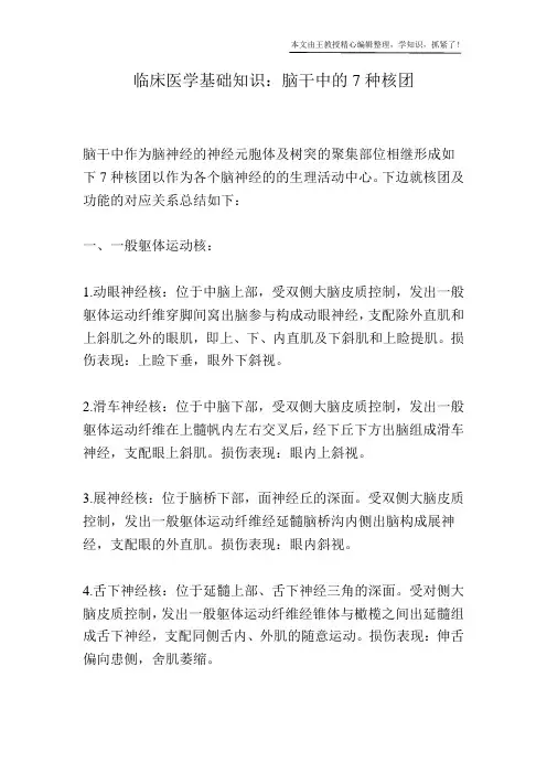 临床医学基础知识：脑干中的7种核团