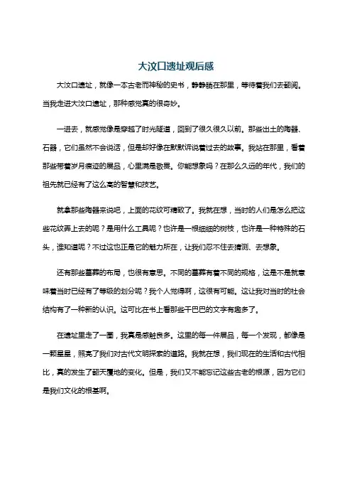 大汶口遗址观后感
