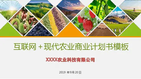 互联网+现代农业计划书模板【超级版】