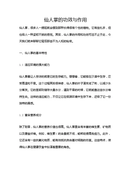 仙人掌的功效与作用