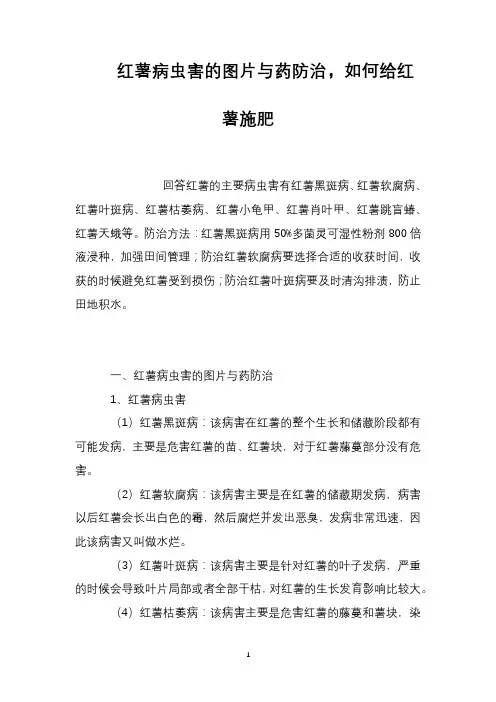 红薯病虫害的图片与药防治,如何给红薯施肥