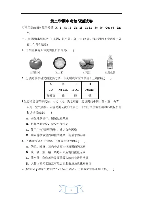 九年级化学下册-第二学期中考复习测试卷(附答案)-人教版