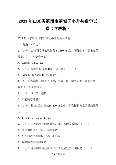 2023年山东省滨州市滨城区小升初数学试卷(含解析)