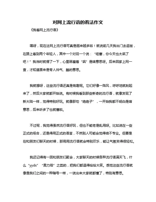 对网上流行语的看法作文