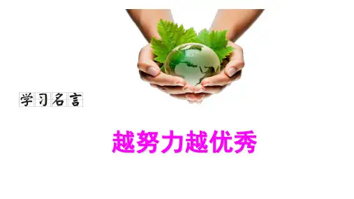 人教七年级下册Unit6综合复习(词组+句型+语法+练习+写作)
