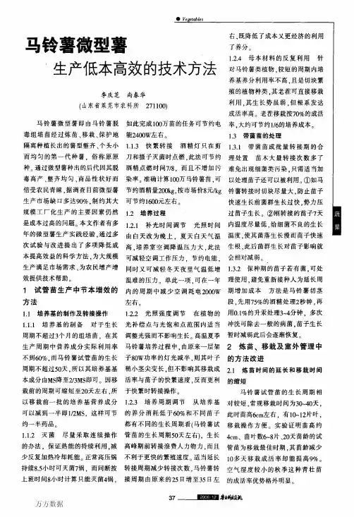 铃薯微型薯生产低本高效的技术方法