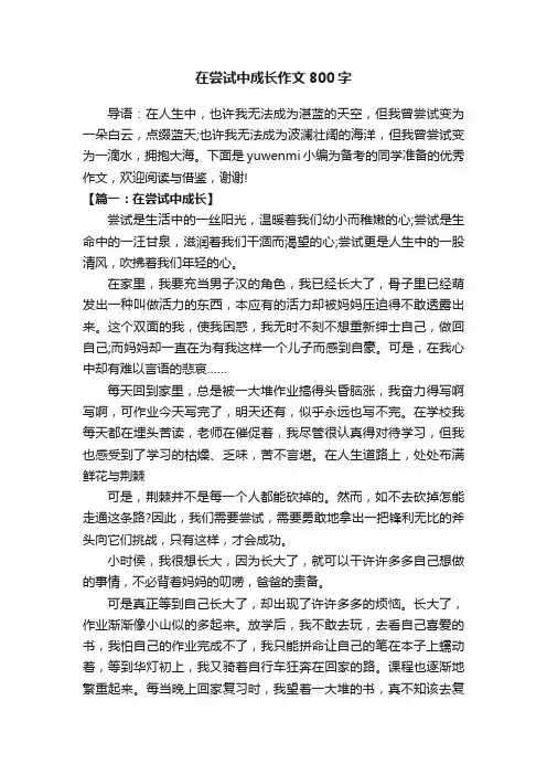 在尝试中成长作文800字