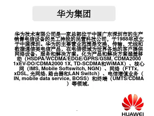 华为集团SWOT  波特五力分析
