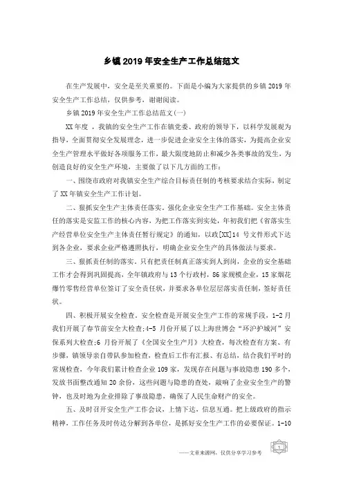乡镇2019年安全生产工作总结范文