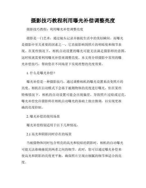 摄影技巧教程利用曝光补偿调整亮度