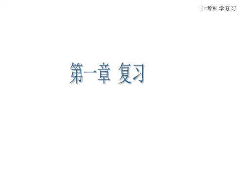 华师大版 八年级科学 上册 第一章 运动和力 复习课件 (共26张PPT)
