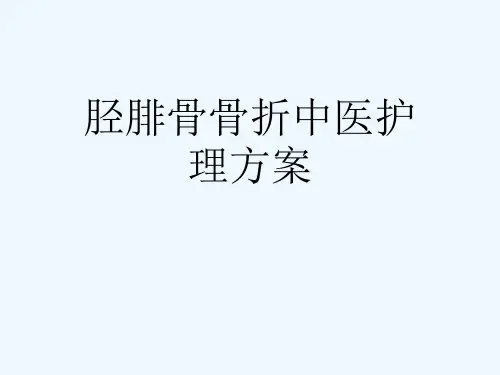 胫腓骨骨折中医护理方案[可修改版ppt]