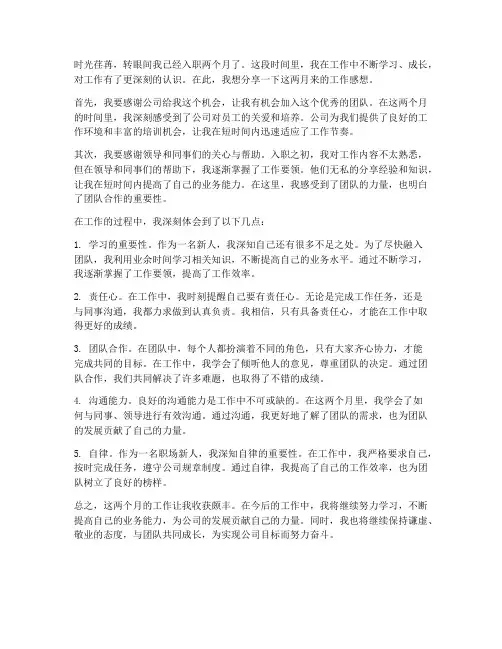 入职两月工作感想