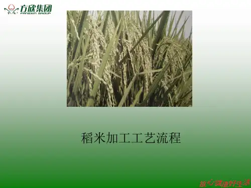 稻米加工工艺(方欣)