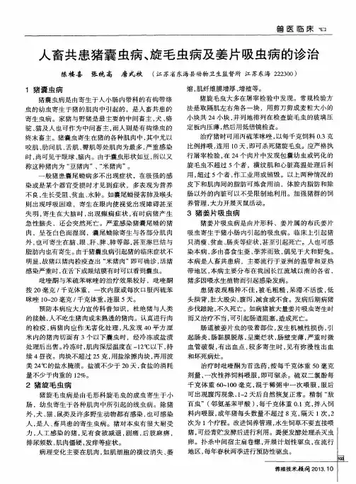 人畜共患猪囊虫病、旋毛虫病及姜片吸虫病的诊治