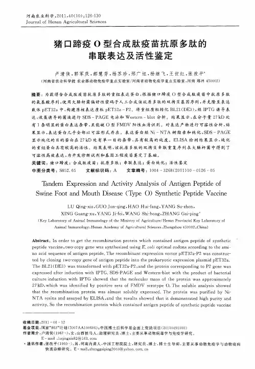 猪口蹄疫O型合成肽疫苗抗原多肽的串联表达及活性鉴定