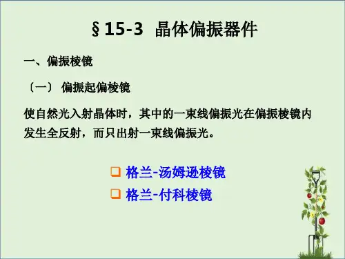 12-3光的偏振与晶体光学基础解析