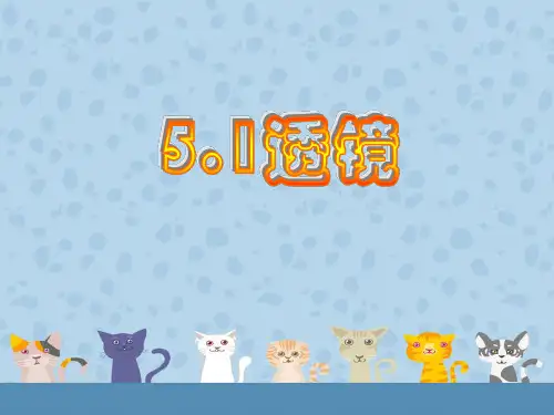 51透镜(自)精品PPT课件