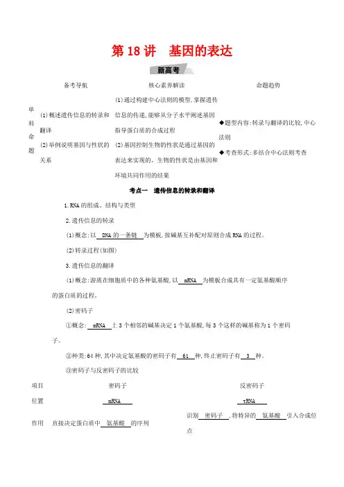 高考生物一轮复习 第6单元 遗传的分子基础 第18讲 基因的表达教案-人教版高三全册生物教案