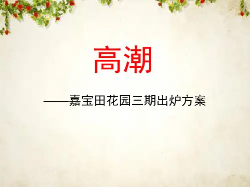 某项目传播策略与广告创意(ppt 59页)