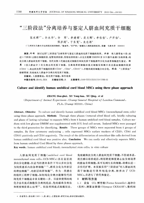 “三阶段法”分离培养与鉴定人脐血间充质干细胞