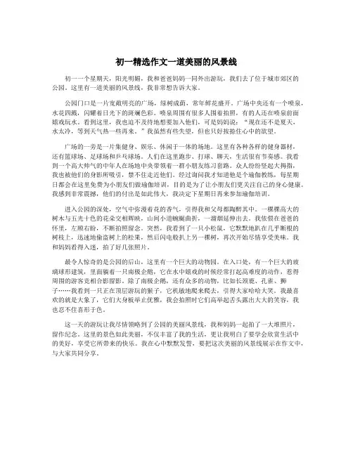 初一精选作文一道美丽的风景线