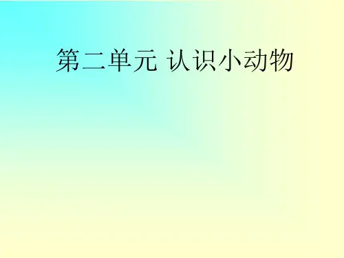 部编版一年级上册科学课件- 兔子 大象版0ppt上课用