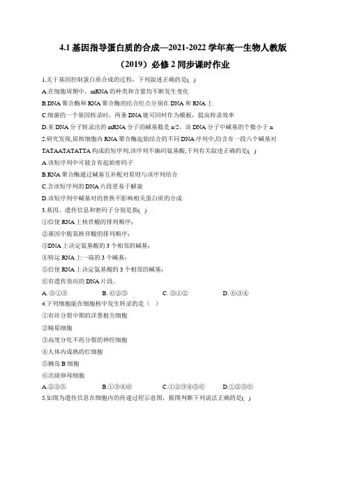 4.1基因指导蛋白质的合成_2021-2022学年高一生物人教版(2019)必修2同步课时作业