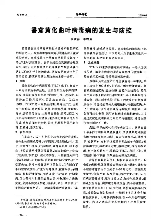 番茄黄化曲叶病毒病的发生与防控