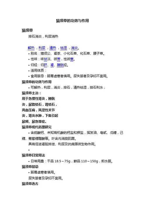 猫须草的功效与作用