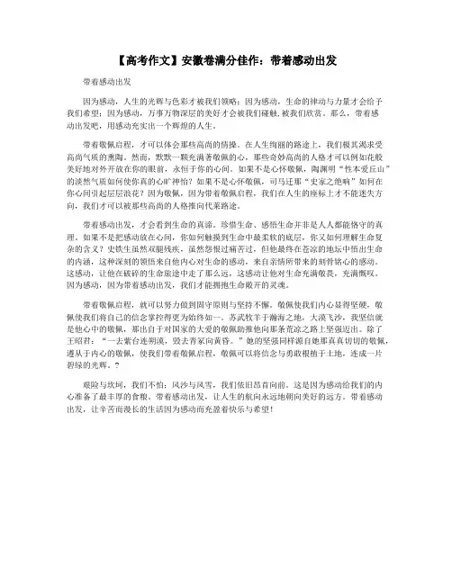 【高考作文】安徽卷满分佳作：带着感动出发