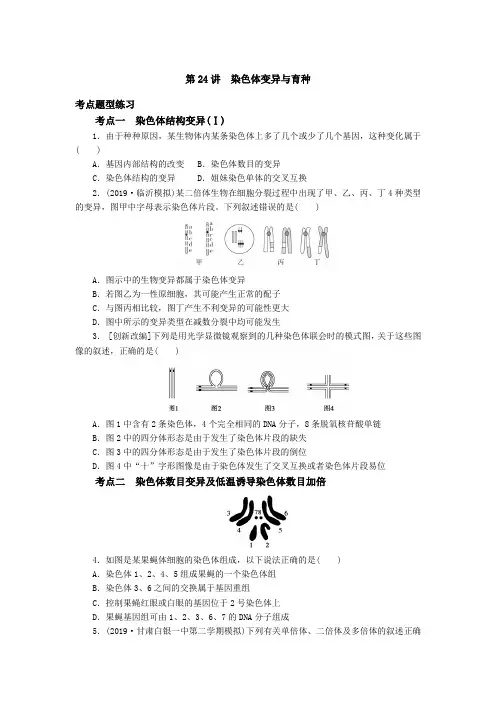 第24讲 染色体变异与育种 练习 2021届高三生物一轮复习