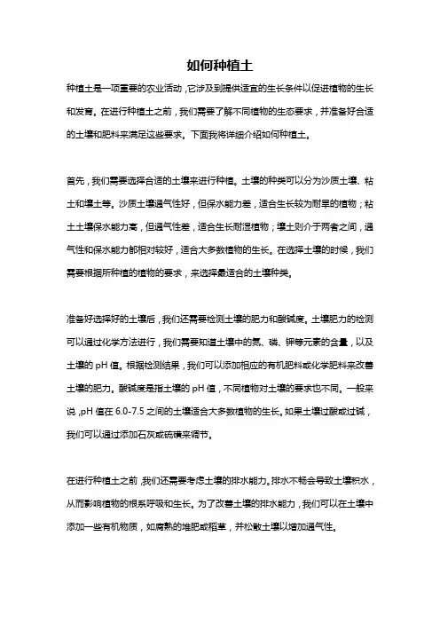 如何种植土