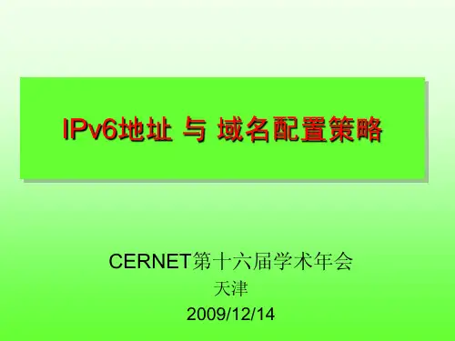 IPv6地址与域名配置策略