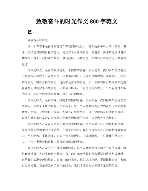 致敬奋斗的时光作文800字范文5篇