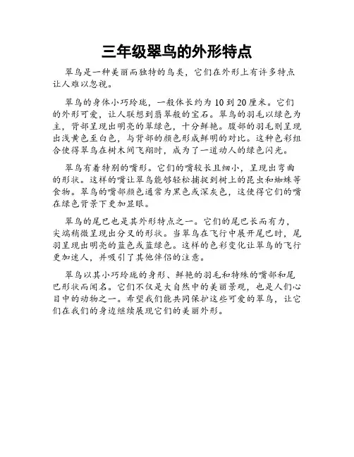 三年级翠鸟的外形特点