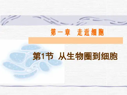 1.1-从生物圈到细胞幻灯片