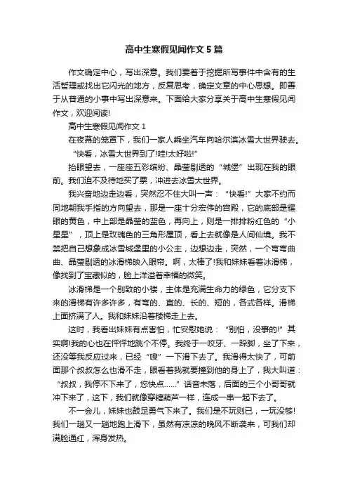 高中生寒假见闻作文5篇