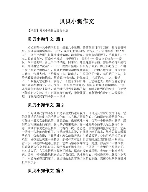 贝贝小狗作文