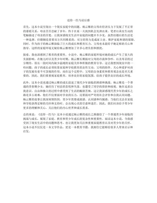 送你一匹马读后感