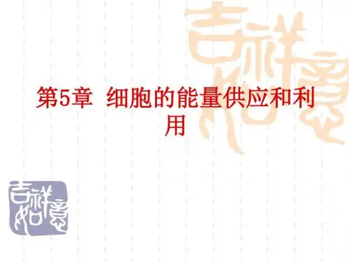 高中生物课件 第5章细胞的能量供应和利用
